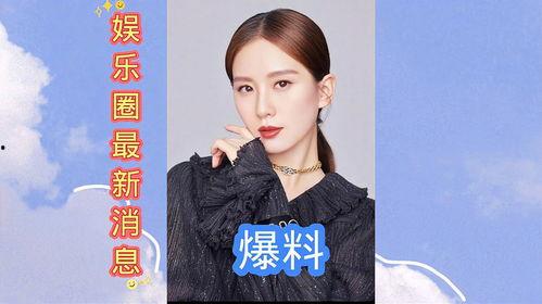 娱乐圈最新爆料辟谣,真相与谣言的较量